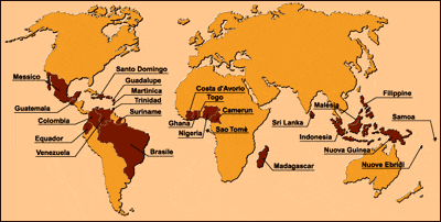 Aree di produzione del cacao